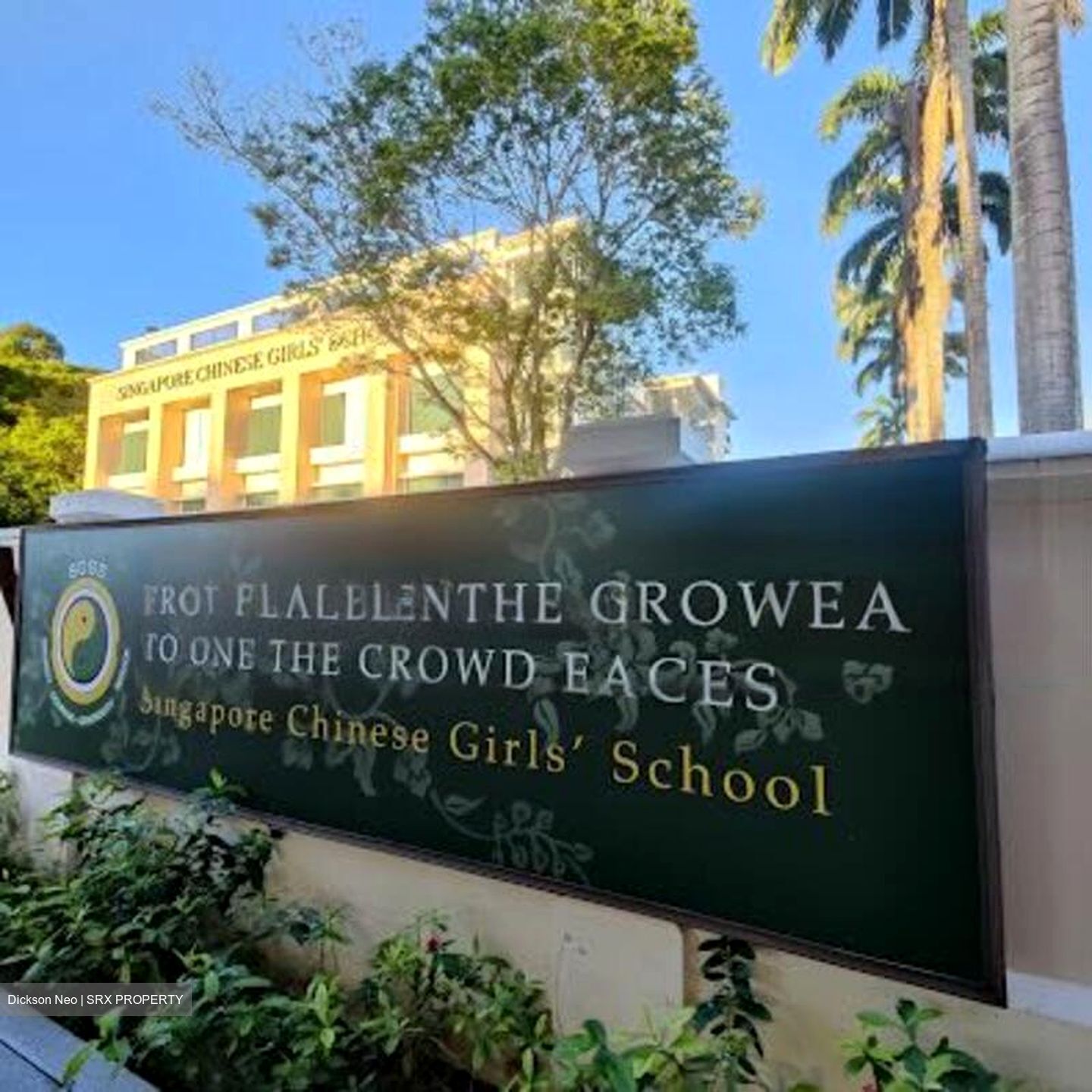 College Green (D11), Detached #496441631